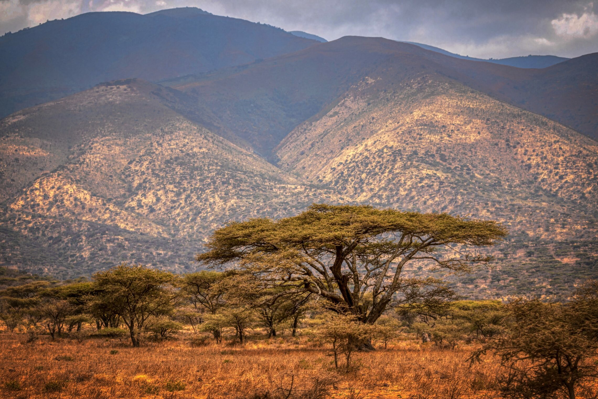Quando andare in vacanza in Tanzania? Questo il periodo migliore