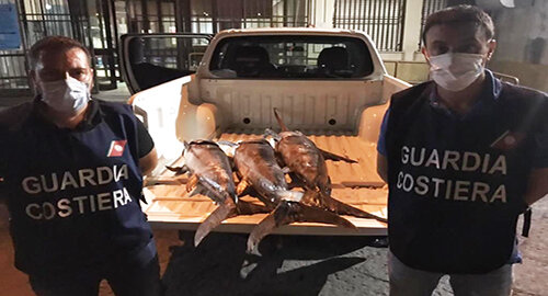 Operazione &ldquo;Tuna & Sword&rdquo; della Guardia Costiera nei porti di Catania, Ognina, Aci Castello e Santa Maria La Scala