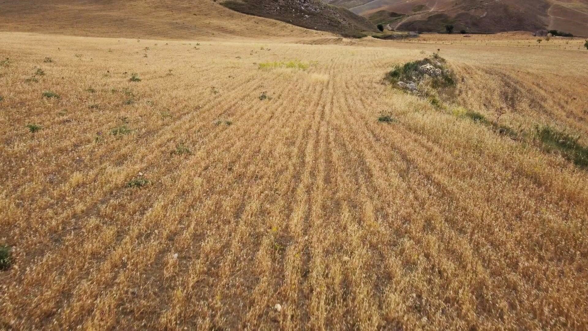 Siccit&agrave;, Federconsumatori: "In Sicilia siamo alla resa dei conti e nessuno fa niente"
