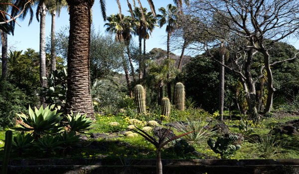 Il Giardino sulla lava, a Catania riapre il parco visionario di Ettore Patern&ograve; del Toscano, dal 26 maggio accesso al pubblico dal mercoled&igrave; alla domenica
