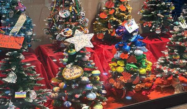 &ldquo;Un Albero per la Pace&rdquo;, il messaggio universale delle scuole di Avola