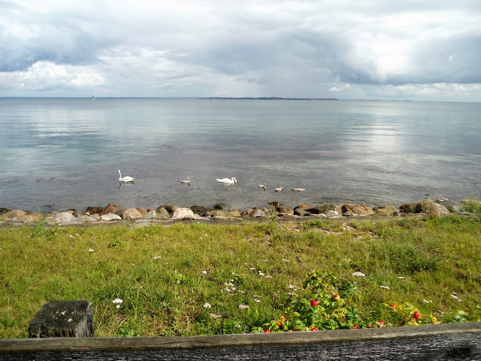 &ldquo;IO&hellip;Cittadino terrestre&rdquo; al via il progetto finalizzato all&rsquo;educazione ambientale, alla salute e alla promozione dello sviluppo sostenibile