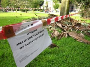 2c457f2edb1393e093ecf21d441387ccaae7aeac.jpg