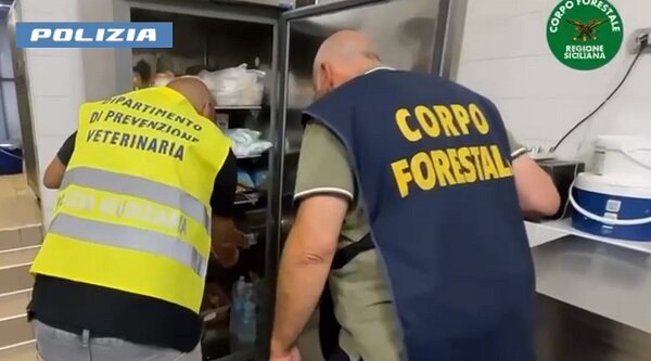 Controlli della task force coordinata dalla Polizia di Stato, sospeso laboratorio di un bar del Lungomare per la presenza di blatte, sanzioni per quasi 15 mila euro Controlli della task force coordinata dalla Polizia di Stato, sospeso laboratorio di un bar del Lungomare per la presenza di blatte, sanzioni per quasi 15 mila euro