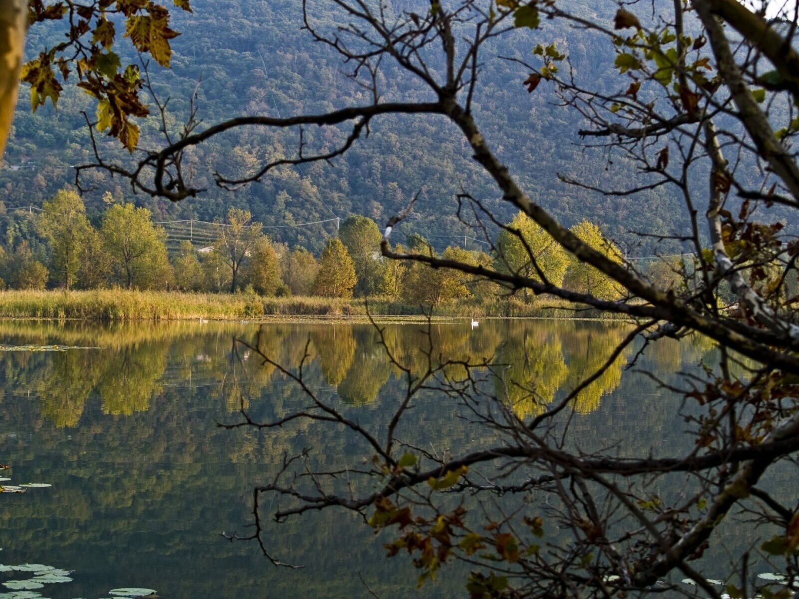 Autunno in Franciacorta terra ricca di storia, arte e cultura, week end alla scoperta dei suoi vini e dei suoi prodotti Autunno in Franciacorta terra ricca di storia, arte e cultura, week end alla scoperta dei suoi vini e dei suoi prodotti