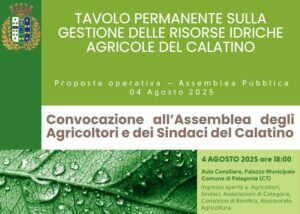 immagine-whatsapp-2025-08-05-ore-10-28-55fbf1819d-300x214-70009252.jpg immagine-whatsapp-2025-08-05-ore-10-28-55fbf1819d-300x214-70009252.jpg