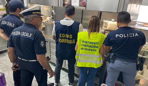 Task force coordinata dalla Polizia di Stato, controllati lido e ristorante a San Giovanni Li Cuti, sanzioni per oltre 30mila euro, distrutti circa 100 chili di alimenti Task force coordinata dalla Polizia di Stato, controllati lido e ristorante a San Giovanni Li Cuti, sanzioni per oltre 30mila euro, distrutti circa 100 chili di alimenti