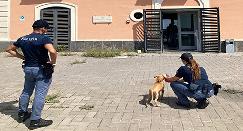 Agenti del Commissariato Librino salvano cucciolo di cane Agenti del Commissariato Librino salvano cucciolo di cane
