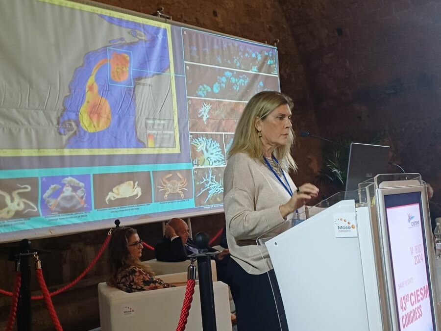Il Dipartimento CHIBIOFARAM al congresso internazionale CIESM di Palermo Il Dipartimento CHIBIOFARAM al congresso internazionale CIESM di Palermo