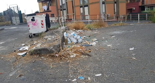 Degrado e microdiscariche in via Abate Silvestri, via Don Gnocchi e via Fratelli Gualandi nel IV municipio Degrado e microdiscariche in via Abate Silvestri, via Don Gnocchi e via Fratelli Gualandi nel IV municipio