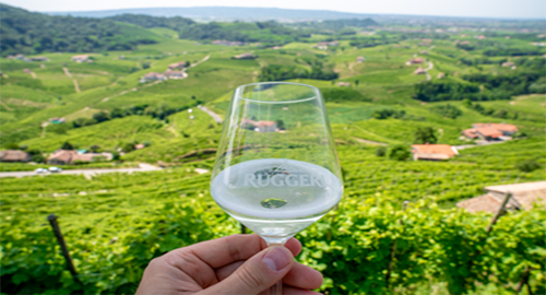 Cantina Ruggeri di Valdobbiadene 70 anni di storia che guardano al futuro