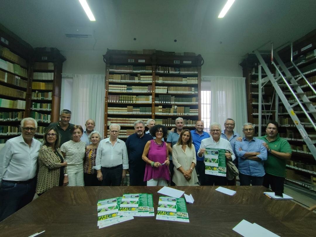 Distretto Agrumi di Sicilia: Nuova Minaccia per l'Agrumicoltura Italiana: L'HLB o Greening Distretto Agrumi di Sicilia: Nuova Minaccia per l'Agrumicoltura Italiana: L'HLB o Greening
