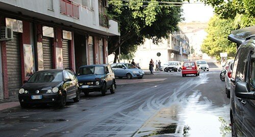 Derattizzazione e disinfestazione a Monte Po Derattizzazione e disinfestazione a Monte Po