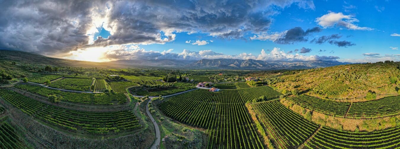 Da Zefiro Taormina, l'Etna e il Barolo nei calici di Davide Fregonese