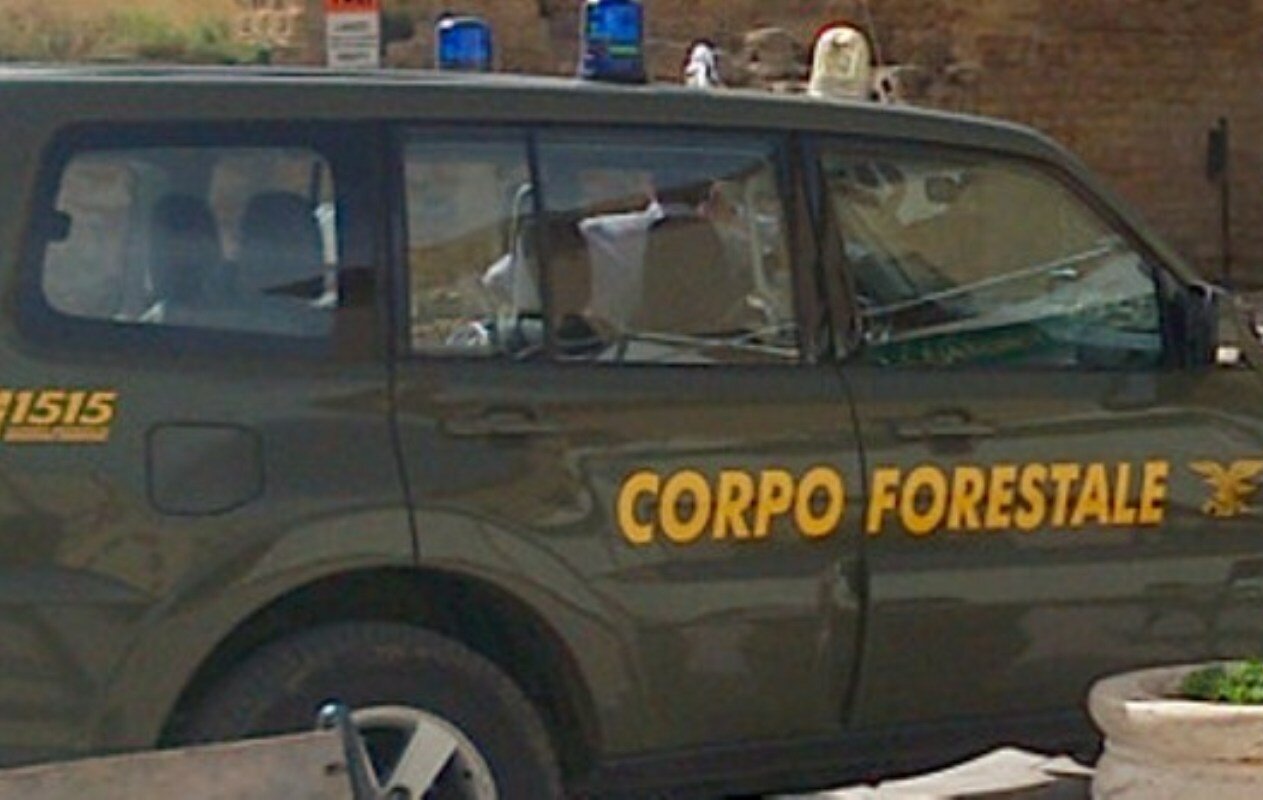 Si.F.U.S Conf.A.L.I al tavolo tecnico sulla riforma del comparto forestale a Palermo Si.F.U.S Conf.A.L.I al tavolo tecnico sulla riforma del comparto forestale a Palermo