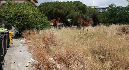 Rischio incendi e discariche tra via Fasano e via Coffa Caruso, la proposta del consigliere Andrea Cardello