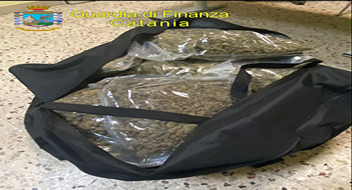 Sequestrati dalla Guardia di Finanza 37 kg di marijuana ad alto potenziale e 150 munizioni, arrestati due catanesi Sequestrati dalla Guardia di Finanza 37 kg di marijuana ad alto potenziale e 150 munizioni, arrestati due catanesi