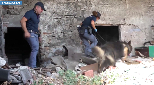 Maxi attivit&agrave; di controllo coordinata dalla Polizia di Stato a San Cristoforo, denunciato un uomo per maltrattamento di animali, pioggia di sanzioni