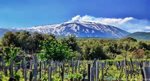 Viticoltura, enologia ed enomarketing. Il 7 febbraio a Catania presentazione del Master di I livello