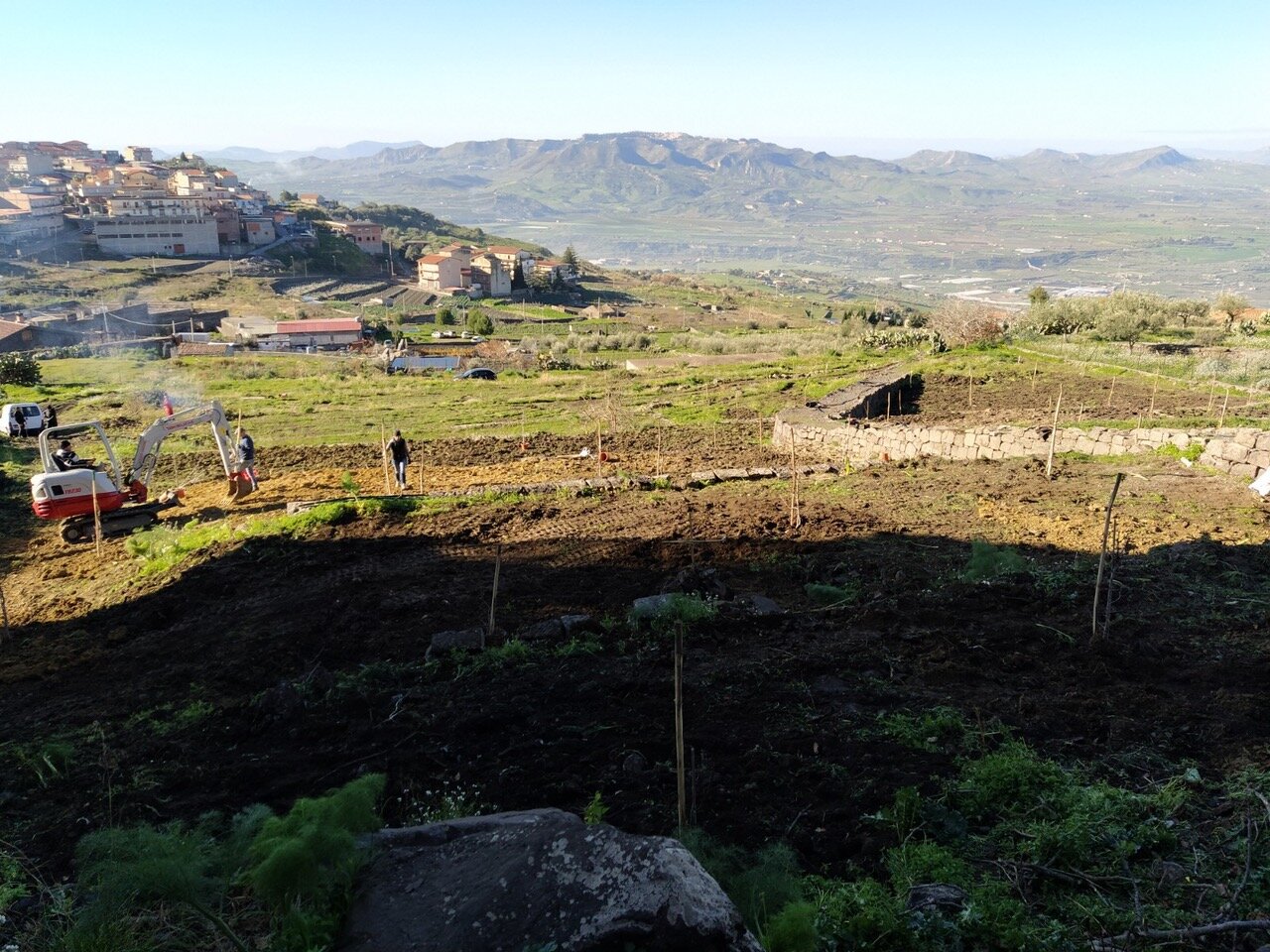 Progetto sulla valorizzazione delle produzioni di Pistacchio in Sicilia