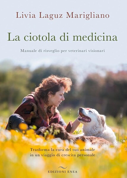 la-ciotola-di-medicina-901711420.jpg
