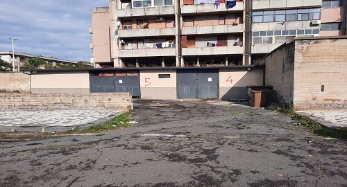 Sequestrati dalla Polizia Municipale a Zia Lisa stalle abusive con tre cavalli e denunciati gli autori degli illeciti