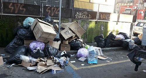 Tutela ambientale, due interventi dei Vigili Urbani in via del Divino Amore e piazza Carlo Alberto