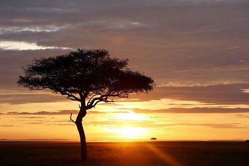 ooa-paesaggio-africano-1-ph--daniela-lucia-rapisarda-170826441.jpg ooa-paesaggio-africano-1-ph--daniela-lucia-rapisarda-170826441.jpg