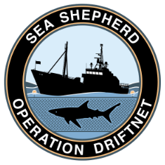 news-160315-1-0-logo-driftnet-235x-1481814092.png