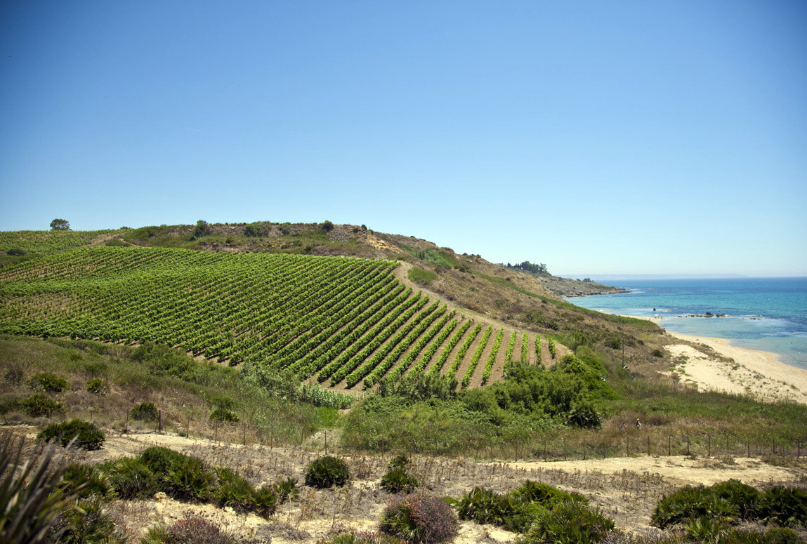 Mandrarossa Vineyard Tour, dal 3 al 4 agosto a Menfi