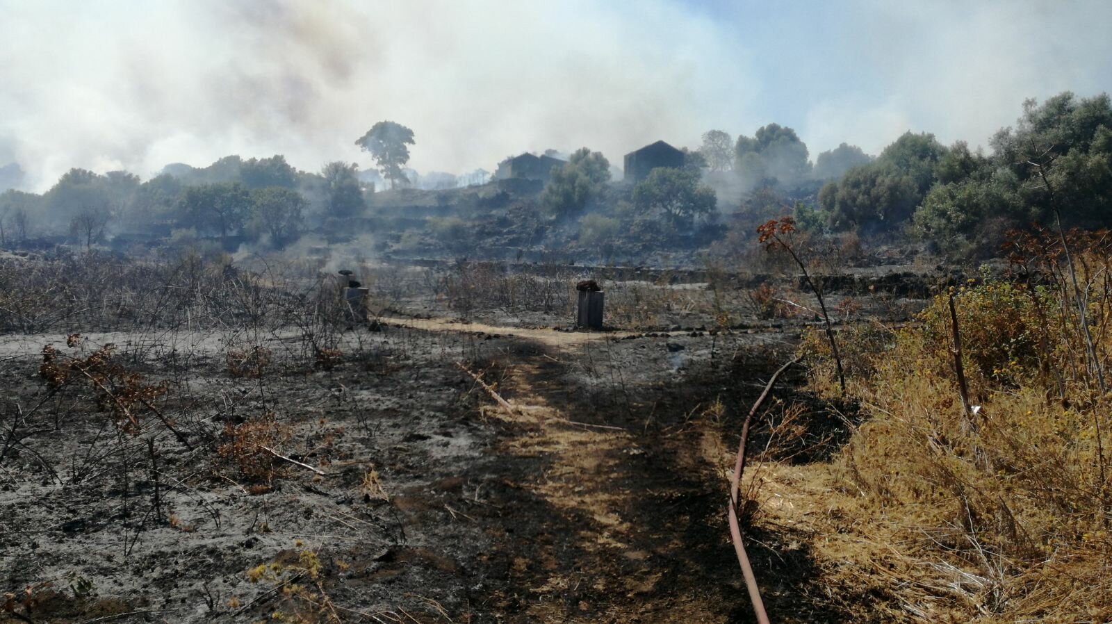Emergenza incendi, a San Gregorio gravi danni alla Riserva naturale Complesso Immacolatelle e Micio Conti