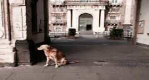 cane-melo-300x162-1155773515.jpg