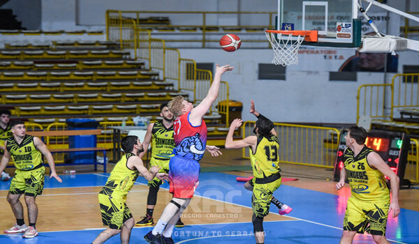 Serie C Unica, l'Alfa Catania batte in trasferta 95-72 la Stingers Reggio Calabria