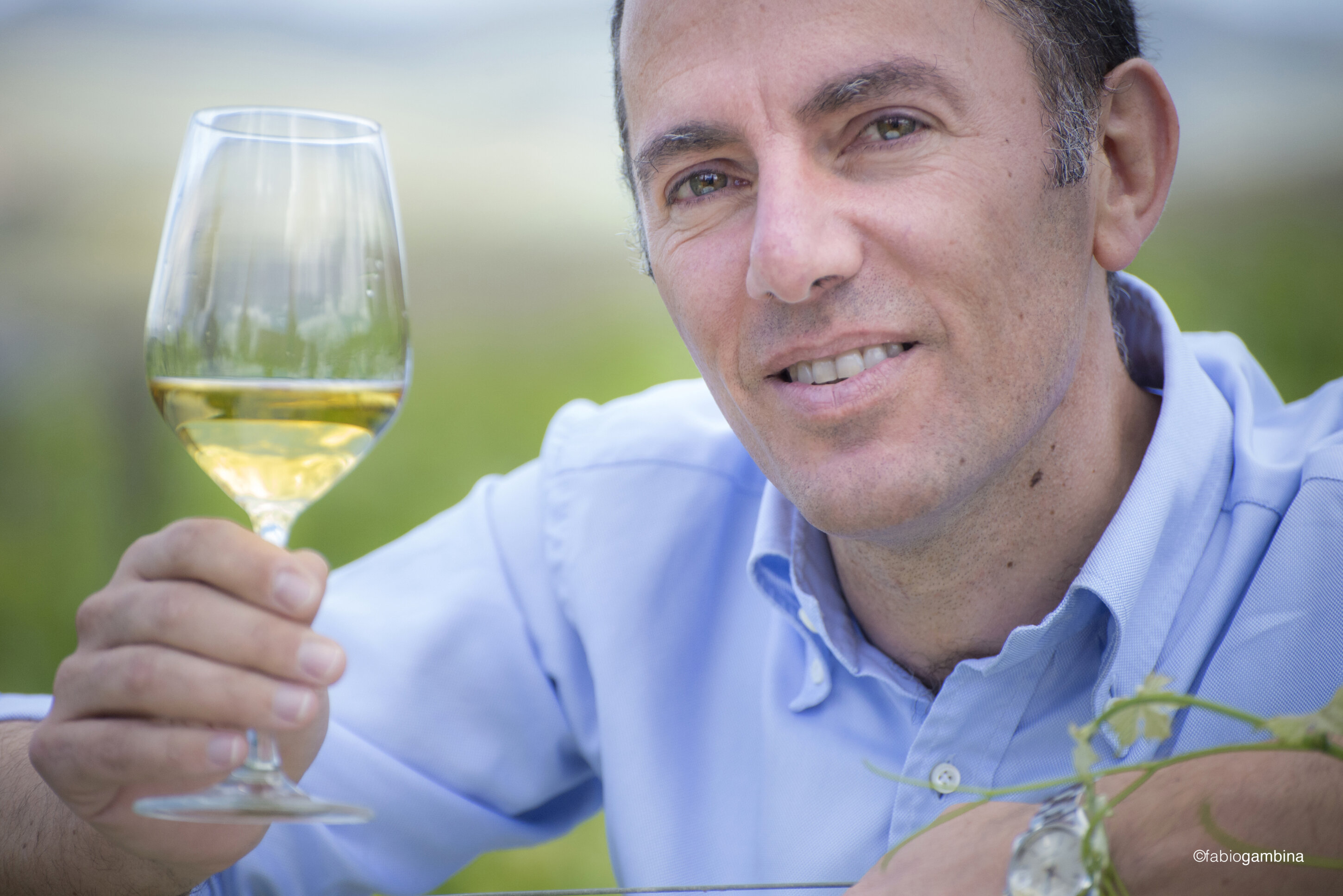 Doc Sicilia e mercato USA: supporto alle aziende vitivinicole dal Consorzio Tutela