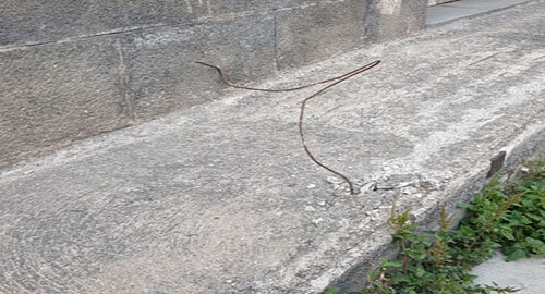 Spuntone di ferro davanti ingresso ex scuola di via Maratona, la segnalazione del Comitato Romolo Murri
