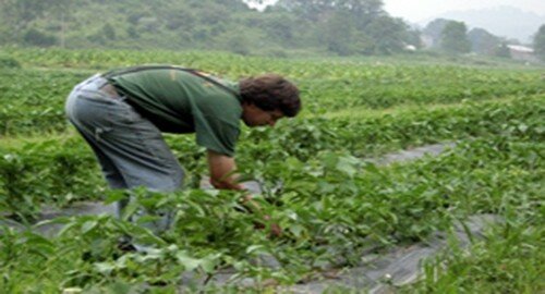 Cia e Confagricoltura Catania contro i nuovi aumenti dei costi dell&rsquo;acqua da irrigazione