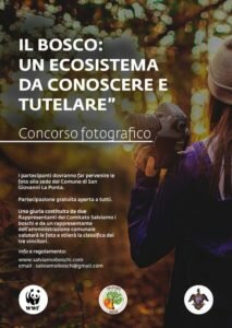 6e33de11c292bb6c04ac1f2a4c7346ed43bbf9eb.jpg