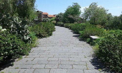 vialetto-parco-ulivi-senza-manutenzione-109561559.jpg