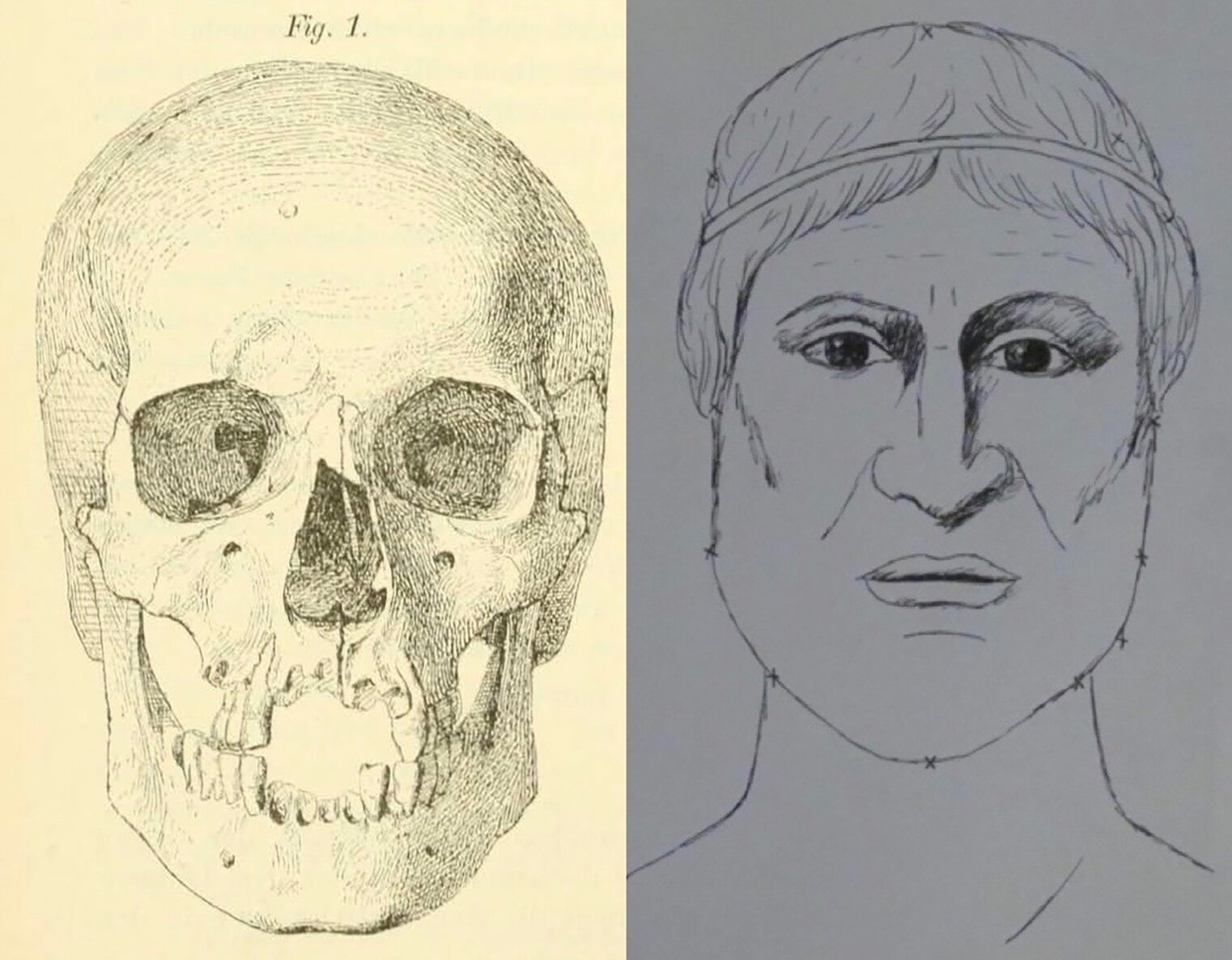 Scoperta del Fapab research center di Avola: "Il cranio di Sofocle &egrave; una bufala"