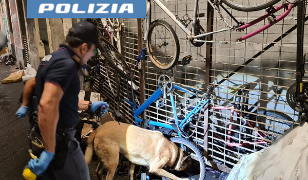 Controllo integrato del territorio a San Berillo e zona Stazione, rinvenuta e sequestrata droga grazie all’infallibile fiuto del cane poliziotto "Maui" Controllo integrato del territorio a San Berillo e zona Stazione, rinvenuta e sequestrata droga grazie all’infallibile fiuto del cane poliziotto "Maui"