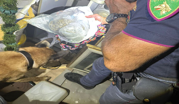 Ancora il fiuto di Maui permette alla Polizia di Stato l&rsquo;arresto di un ventinovenne per detenzione ai fini di spaccio