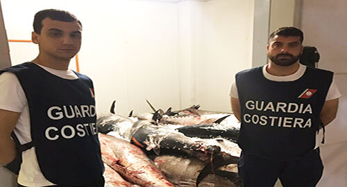 Sequestro record di tonno rosso della Guardia Costiera nei porti di Catania ed Acitrezza, valore stimato oltre 200.000 euro