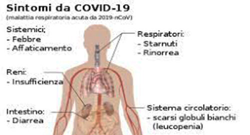 Fumo e Covid: i fumatori ospedalizzati sono molto meno del previsto ma hanno gi&agrave; una malattia pi&ugrave; grave