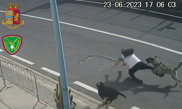 Denunciata dalla Polizia di Frontiera al Porto rappresentante legale di cantiere nautico per aggressione di tre cani ad un dipendente ditta movimentazione containers