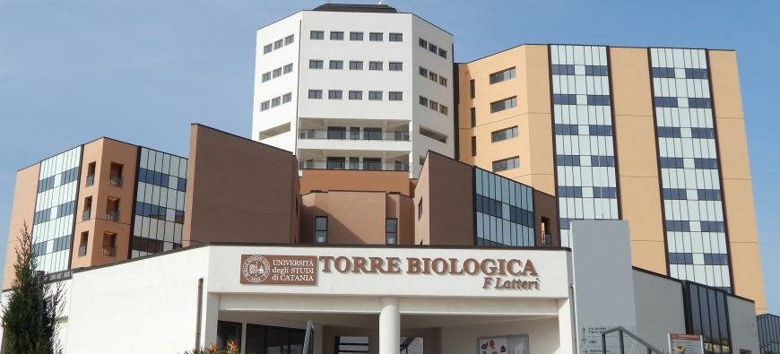 Studenti statunitensi ospiti del CoEHAR, il Centro per la Riduzione del Danno da Fumo dell’Università di Catania Studenti statunitensi ospiti del CoEHAR, il Centro per la Riduzione del Danno da Fumo dell’Università di Catania