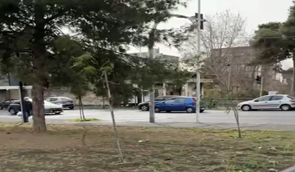 Ambiente, "Catania Respira" con 2500 nuovi alberi in citt&agrave;, domani la presentazione del progetto