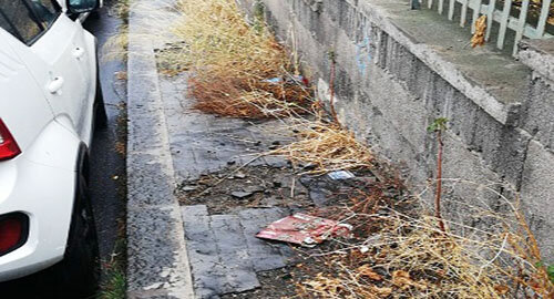 Cura del verde e dei passaggi pedonali nel quartiere Cibali nel IV municipio