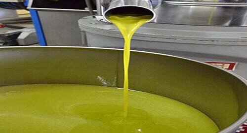 Specialty Food Association: dall&rsquo;Etna olio DOP unico ed inimitabile