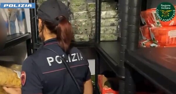 Controlli della task force coordinata dalla Polizia di Stato in un locale della Scogliera, irregolarit&agrave; e sanzioni per oltre 6000 euro