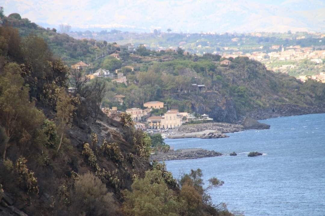 Quale gestione per la riserva naturale “La Timpa” di Acireale? Quale gestione per la riserva naturale “La Timpa” di Acireale?